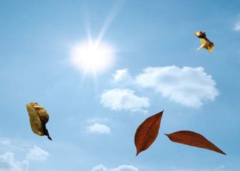 Reshje shiu e shtrëngata/ “Lamtumirë” verë, ja çfarë parashikojnë sinoptikanët për këtë fundjavë