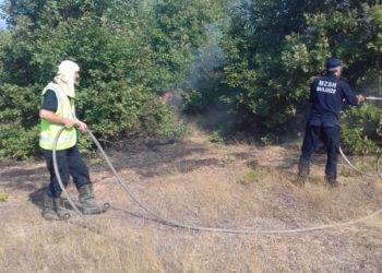 Zjarri rrezikon banesat në Bulqizë, digjen 10 hektarë pisha