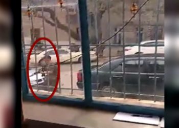 Skandal,  Bashkia e Dropullit përdor paratë e qytetarëve për banderola në greqisht, aktivitete për Kacifas?