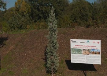 Batanije ekologjike për 15 mijë m2 tek Liqeni Artificial kundër të ftohtit