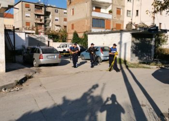 Lushnje, vritet me kallashnikov tregatari i makinave