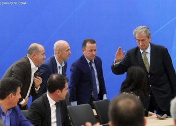 Çfarë të reje do të sjellin të vjetrit në PD?