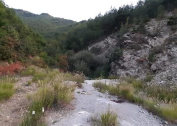 Detaje për vrasjen në Mirditë, barinjtë gjetën trupin e hedhur në kanal