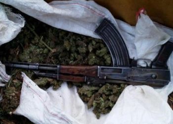 Pranga tre personave në Pukë, akuzohen për kultivim kanabis dhe armë