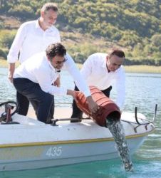 Nis hedhja e rasatit të koranit në Liqenin e Ohrit, Çuçi: E vetmja mënyrë për të ruajtur këtë pasuri