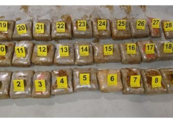 Tentuan të trafikojnë 40 kg drogë në Dubrovnik  pranga tre shqiptarëve