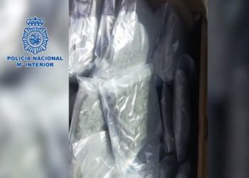 Shkatërrohet ferma e kanabisit në Spanjë, mes të arrestuarve dhe shqiptarë. Iu edhe 246 mijë euro (Video)