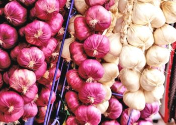 Turistët e huaj vlerësojnë hudhrat e kuqe të Shqipërisë, ja arsyeja