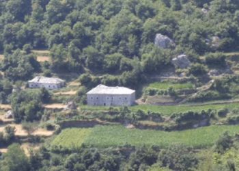 Policia jep detajet për vrasjen në Shkodër/ 55-vjeçari u gjet në rrugë nga nipërit e tij