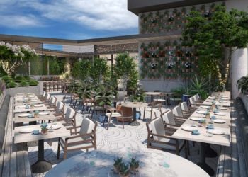 FOTO/ Nga ferma në tavolinë, hapet kafeneja e parë e kanabisit