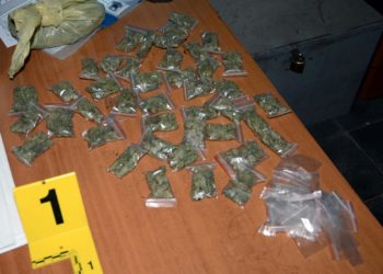 Policia aksion në banesat në Krujë, sekuestrohen 21 kg kanabis