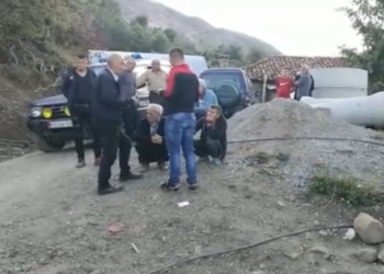 “Oj kur*** të vij e të shti në tokë”/ Si nisi sherri që la pas 3 të vdekur në Dibër, nga gjeli që kishte ngacmuar pulat deri te sharjet