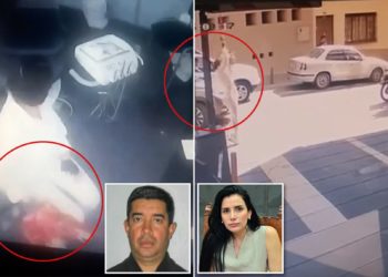 VIDEO/ Si në filma, momenti kur politikania e dënuar për blerje votash arratiset nga burgu