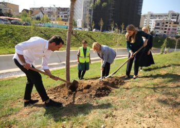 FOTO/ 3 mijë pemët e para vendosen përgjatë lumit të Lanës, Veliaj: Banorët t’i bashkohen aksionit dhe të kontribuojnë për shtimin e gjelbërimit