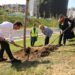 FOTO/ 3 mijë pemët e para vendosen përgjatë lumit të Lanës, Veliaj: Banorët t’i bashkohen aksionit dhe të kontribuojnë për shtimin e gjelbërimit