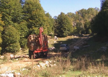 PD denoncon prerjen e pyjeve në zonat e mbrojtura