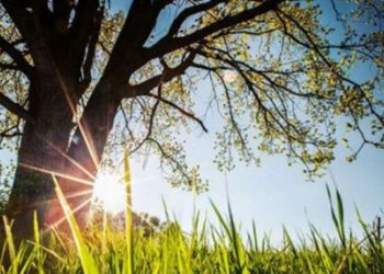 Keni plane për fundjavën? Ja si do të jenë temperaturat