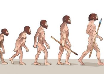 Zbulimi: Njeriu i Neandertalit, i pranishëm në një ishull grek