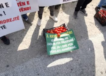 Fermerët Myzeqesë dalin sërish në protestë. Ja 5 kërkesat drejtuar Qeverisë