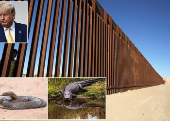 FOTO/ Masat ekstreme të Trump ndaj emigrantëve: Qëllojini në këmbë, të vendosen gjarpërinj dhe krokodilë