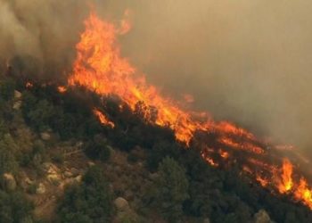 Zjarri përfshin kodrën me shkurre në Elbasan, flakët rrezikojnë Uzinën e Lëndëve Plasëse të Mjekësit