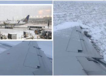 VIDEO/ Akulli në Chikago nxjerr nga pista avionin me pasagjerë