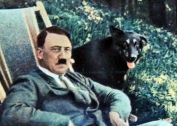 Zbulohet kopshti i perimeve i Hitlerit në selinë e tij sekrete në Poloni (Foto)