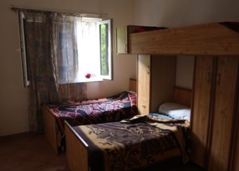 Ministria e Financave: Bizneset të kontribuojnë për nismën “Shqipëria Solidare”, ja lehtësia që përfitojnë