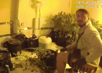“Uau”, policët britankë habiten kur zbulojnë shtëpinë e kanabisit të shqiptarëve (Foto)