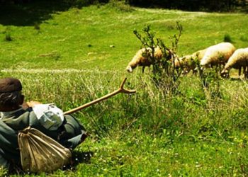 Askush s’di gjë për të/ Zhduket prej dy ditësh bariu në Leskovik
