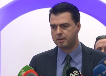 28 Nëntori, Basha mesazh solidarizimi: Pavarësisht ndasive, në orë nevoje ne jemi një komb i bashkuar!