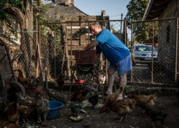 New York Times: Si po i vjedhin oligarkët milionat e Bashkimit Evropian