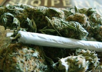 Furtunë te burgu i Fushë Krujës/Skandali zbulohet pasi gjetën gruan që fuste hashashin