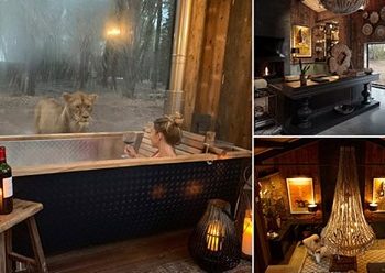 FOTO/ Të flesh pranë luanëve, ky është hoteli në Angli brenda një safari