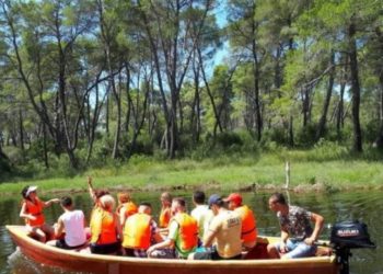 Rama publikon pamjet: Rilindja spektakolare e Parkut të Divjakës