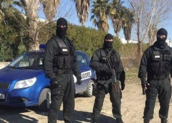 Do thyejë “të fortët” dhe prangosë “peshqit e mëdhenj”, çfarë parashikon krijimi i “FAUDA-s” shqiptare