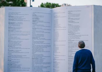 “Nuk dinë Gjuhën Shqipe”, profesori u vendos nota ngelëse politikanëve