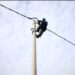 Po riparonte linjën elektrike në Gjirokastër, 63-vjeçari rrëzohet nga shtylla dhe vdes