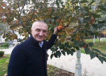 Meta i largohet debatit për “Kushtetuesen” dhe gjen qetësinë te hurmat e Elbasanit