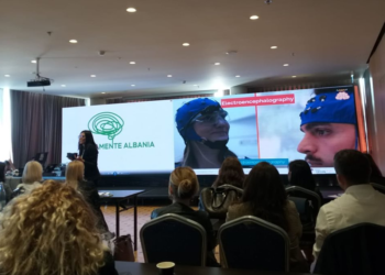 Neuromarketing, për të kuptuar më mirë sjelljen konsumatore