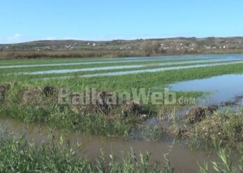 Rrogozhinë/ Shirat dhe Shkumbini rrezikojnë përmbytjen