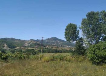 Të shtëna me armë mes dy vëllezërve për pronën në Pezë, pranga njërit që dhunoi edhe mbesën