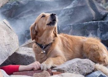 Bëri xhiron e rrjetit si foto pas tërmetit në Shqipëri, por ja e vërteta