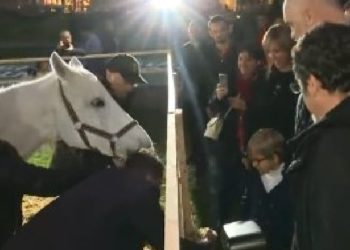 Rama merr Zahon përdore dhe shkon në Panairin e Bujqësisë: Ti je katunar, i njeh mirë