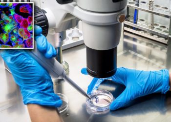 Shkencëtarët krijojnë virusin që shëron çdo lloj kanceri