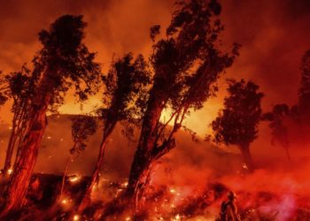 Flakët përhapen me shpejtësi, zjarrfikësit vazhdojnë të luftojnë zjarret në Kaliforni