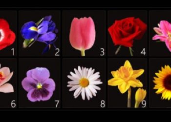 Zgjidh lulen që të tërheq dhe gjej një përshkim të veçantë për karakterin tënd