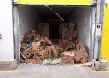 Ngarkesa prej gjysmë toni kokainë/ I vihet pranga 5 shqiptarëve. Ja si u zbulua droga e fshehur…