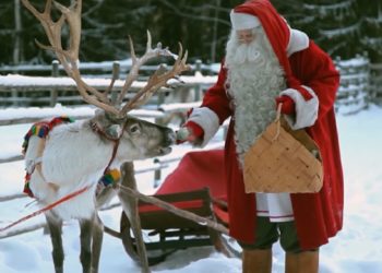 Dreri i Arktikut shpresë për njerëzimin, ka një enzimë që ndalon prodhimin e qelizave kancerogjene