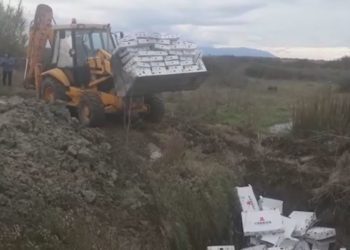 Ishin me salmonelë, asgjësohen me groposje 2.1 ton mish të ardhura nga Polonia